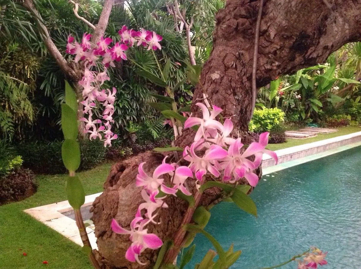 Villa Kiki Seminyak  Seminyak (Bali)